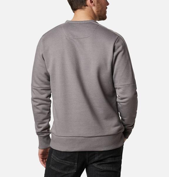 Columbia Lodge Hoodies Grey For Men's NZ71968 New Zealand